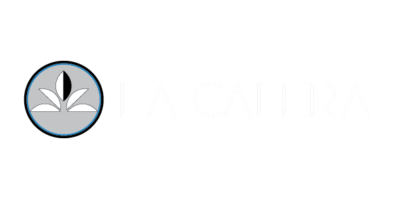 A logo with a leaf design inside a circle.